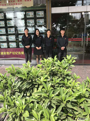 昆明敏通房地产经纪宣威分公司 专业房地产咨询服务引领本地市场