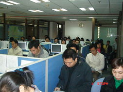 专业赋能，价值共创 广东美佳联房地产与土地评估咨询及房地产经纪服务解析